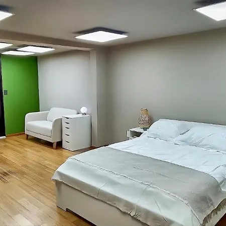 Coliving Condesa Master Suite 2 Roble